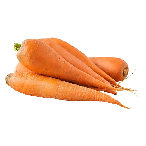 Carrot